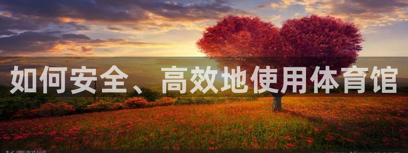 必一体育官网网址
