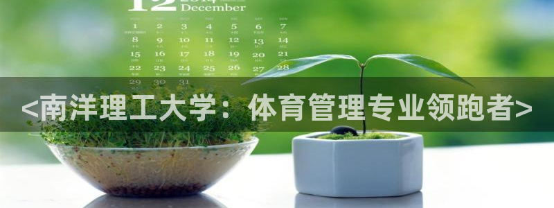 必一体育运动平台官网
