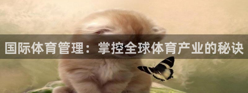必一体育合法吗