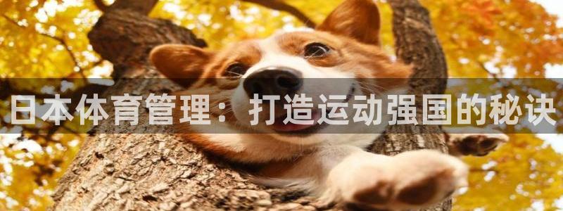 Bsport体育ap
