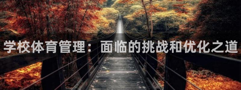 必一体育app官方网站
