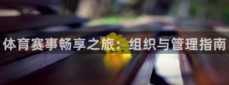 必一体育登录APP下载