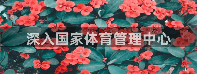 必一体育下载登入：深