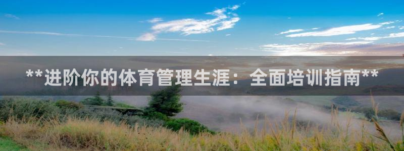 必一体育app平台下