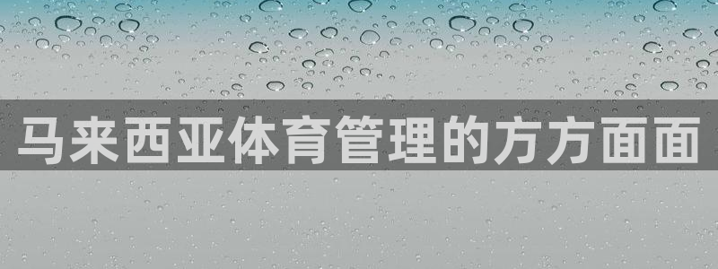 必一体育官方入口