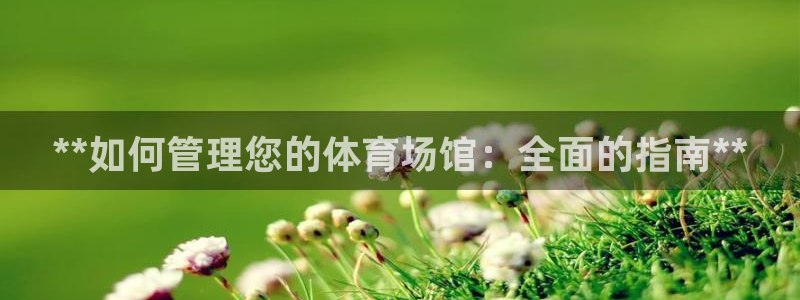 必一体育登陆