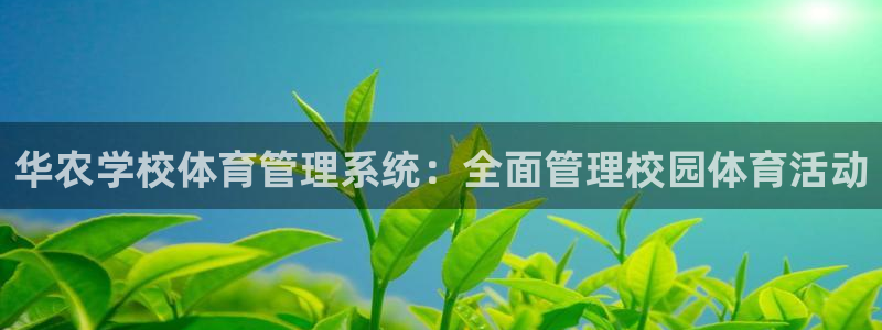 必一体育sport官网