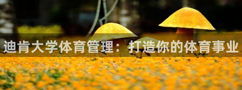 必一体育sport官