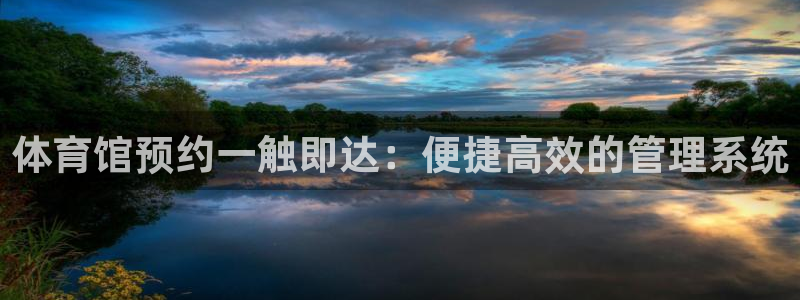 必一体育sport官方网站