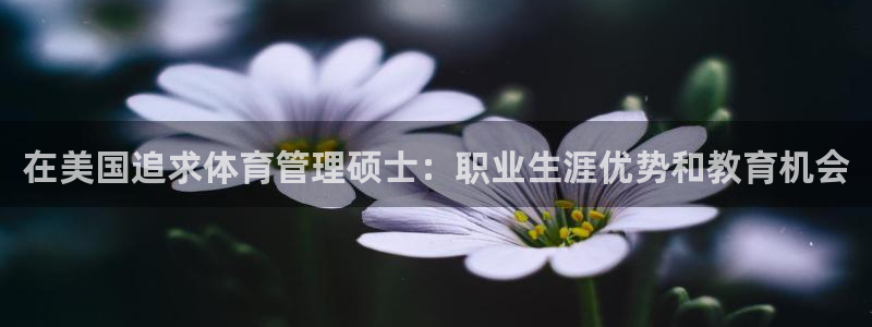 必一体育游戏玩法