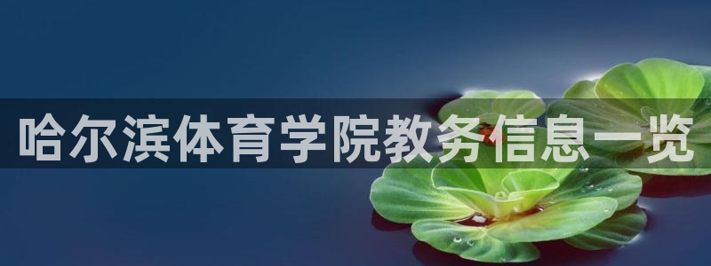 必一运动bsport体育app下载