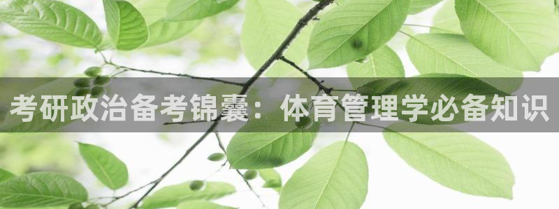 必一体育运动官网：考