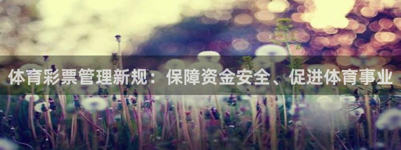 Bsport体育必一