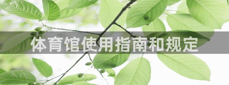 必一运动官网入口