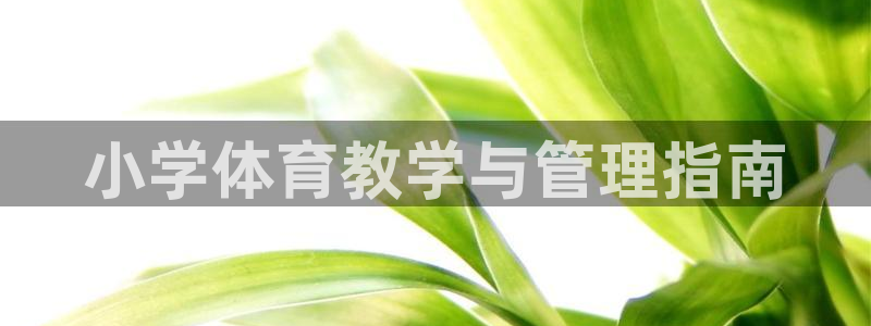 必一体育电子app：