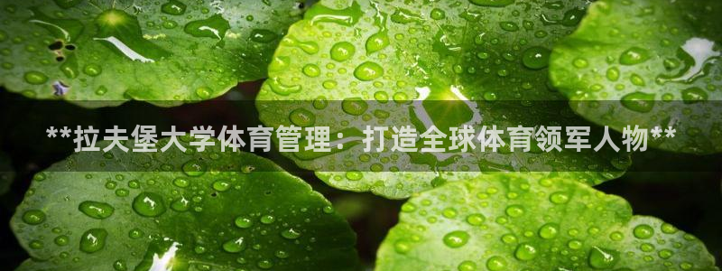 必一体育最新官网入口