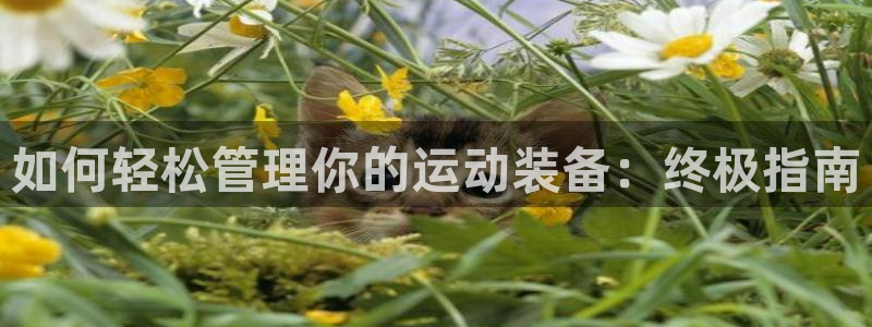 必一体育网页：如何轻