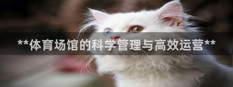 必一体育皮尔斯：**