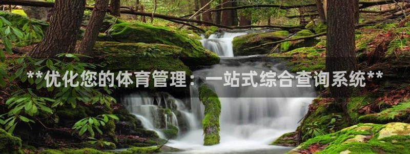 必一体育全站在线登录