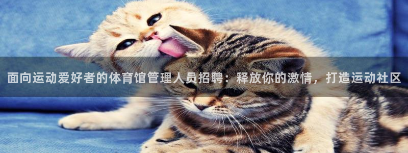 必一体育下载：面向运