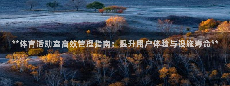 必一运动：**体育活