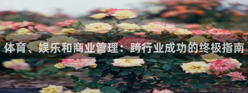 必一体育运动app：
