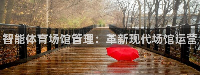 必一体育运动app下