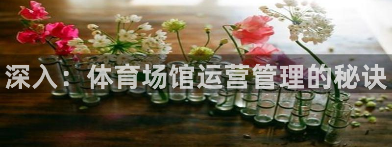 必一运动体育官网下载