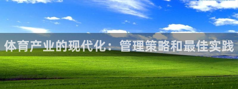 必一体育sport网