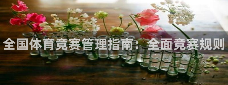 必一运动sport爱