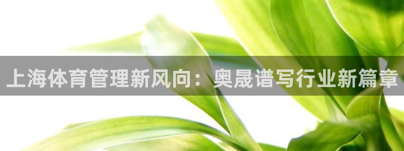 必一体育电子app