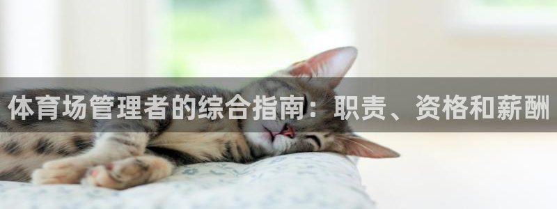 Bsport体育必一