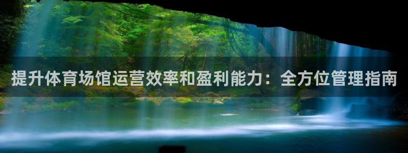 必一体育下载义：提升