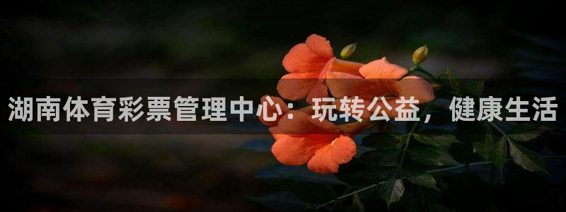 必十二和必一的副作用