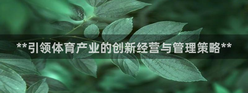 必一体育官网app：