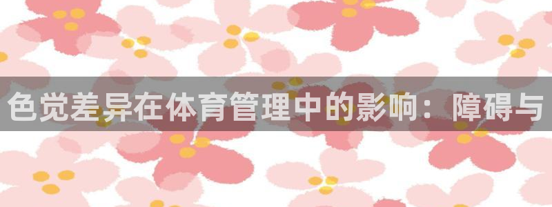 必一体育在哪下