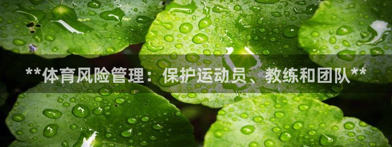 必一体育登录入口AP