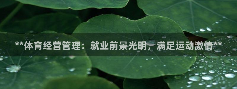 必一体育sport：
