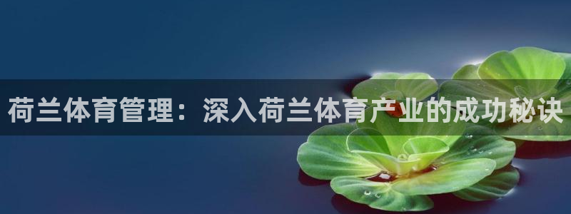 必一体育官方app下