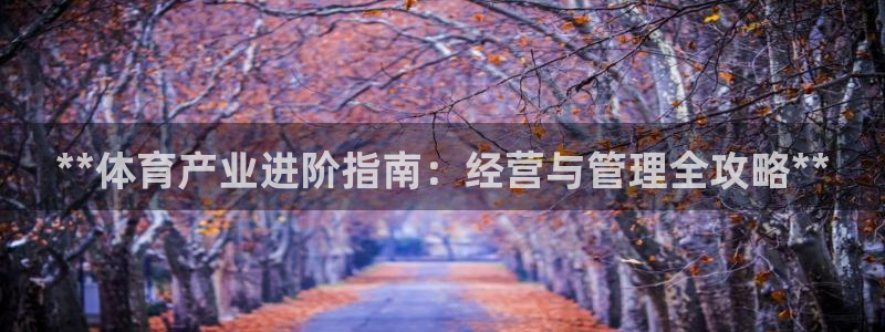 必一体育网页