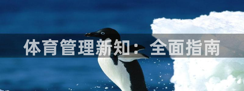 必一运动体育