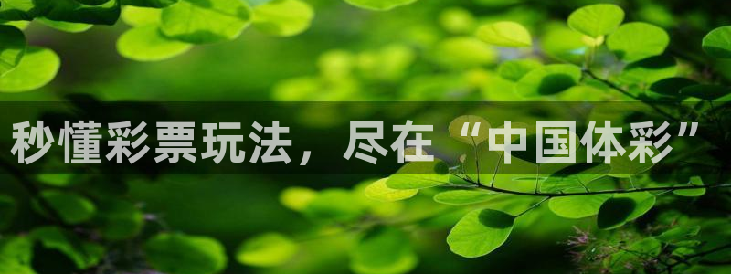 必一体育是哪里的台子