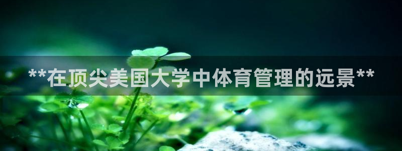 必一体育app官方下