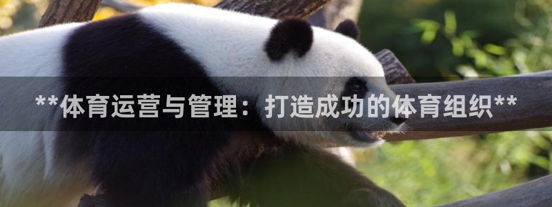 必一体育能提现大金额