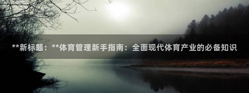 必一体育sport官