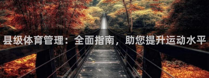 必一体育app官方网