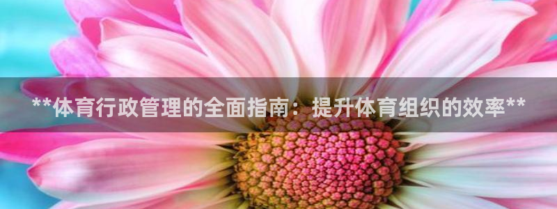 必一体育黑平台：**