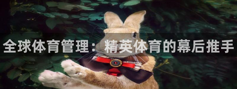 必一运动 b 体育素描版