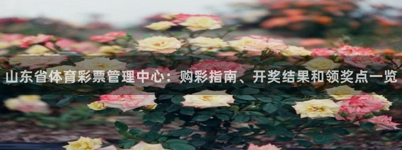 必一运动：山东省体育
