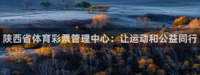 必一运动·(B-Sp